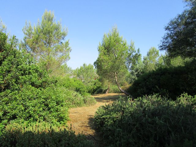 FV Stella Sud